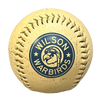 Wilson Warbirds Rawlings Primary Logo Baseball